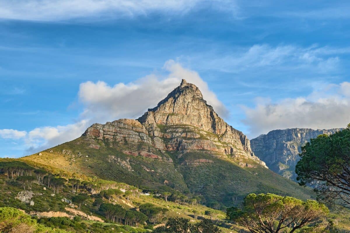 Table Mountain en omgeving